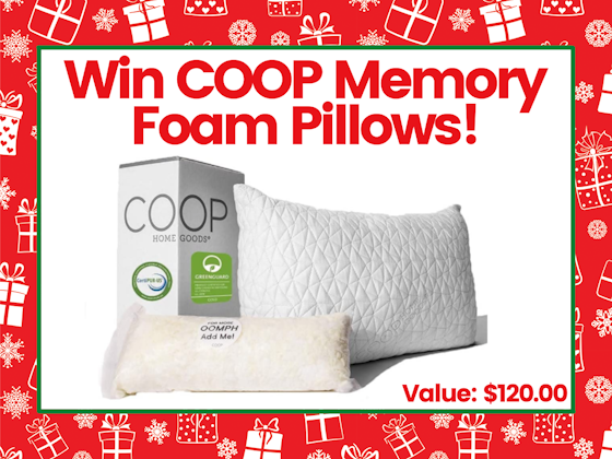 Set of COOP Pillows!  sweepstakes