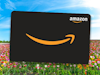 $100.00 Amazon Gift Card! sweepstakes
