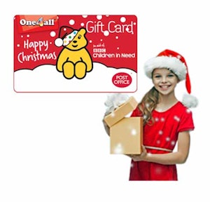 Pudsey copy